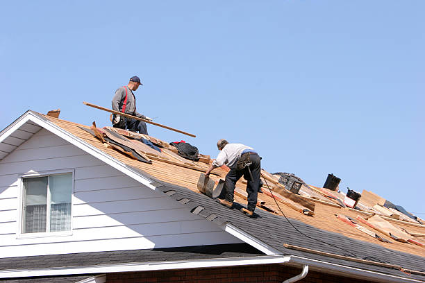Best Sheet Metal Roofing  in Leakesville, MS